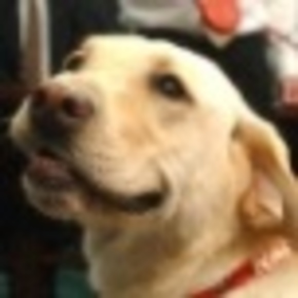 Meet your Posher, Luke - Picture 1 of 1